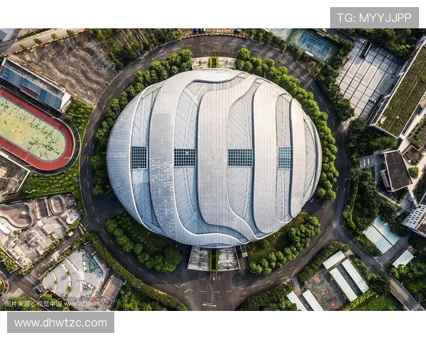 广州极限运动队如何通过比赛经验变革推动极限运动热潮的兴起与发展