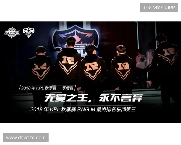 探讨RNG在王者荣耀比赛中的心理素质与团队协作能力的影响分析