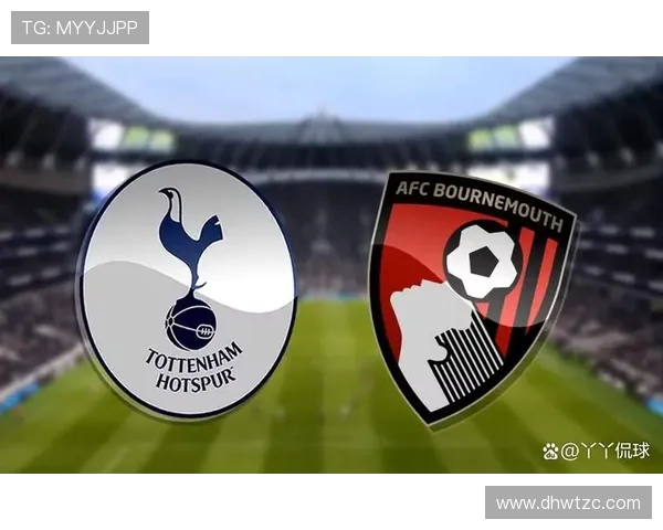 热刺与央视网的精彩对决分析与赛事回顾，球迷热情高涨的背后故事