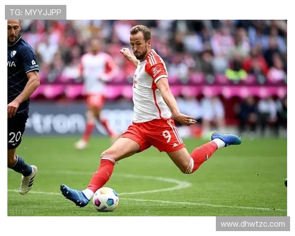 突尼斯对决英格兰足球盛宴即将开启谁能笑到最后