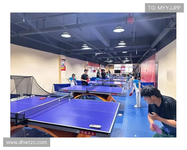 乒乓球之光：深入西安乒乓球队背后的训练与精神探索