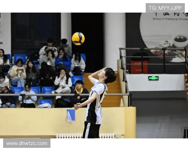 成都排球队最新排球配合技巧TOP10引领潮流助力竞技水平提升