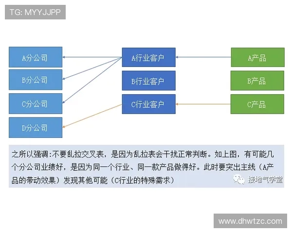 深入分析上海飞盘队的运营策略与发展模式探讨